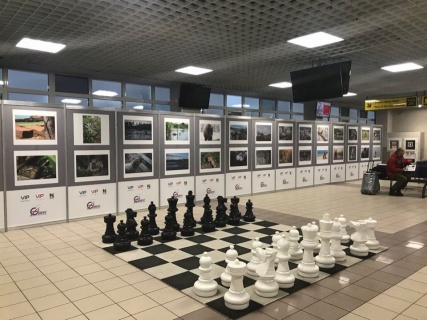 Фотовыставка "Природа смотрит на тебя" открылась в аэропорту Сургута