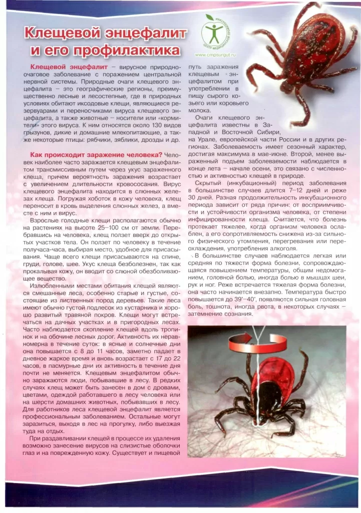 Листовка КЭ_Страница_1.jpg